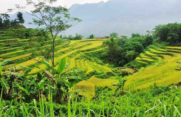 cloud-hunting-on-the-top-of-pu-luong-interesting-activities-for-tourists