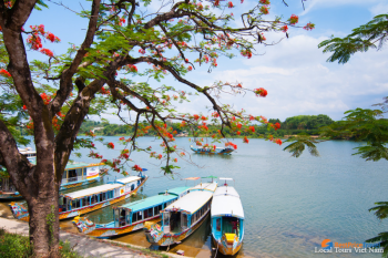 local tours ha giang