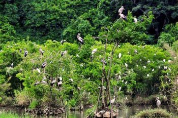 local tours ha giang